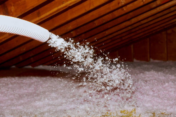 Types of Insulation We Offer in Columbus, MN