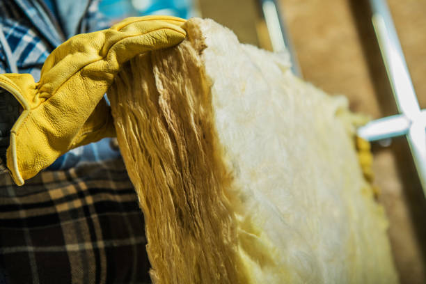 Best Specialized Insulation Services in Columbus, MN