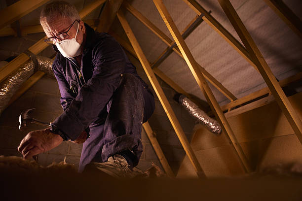 Best Energy Efficiency Insulation in Columbus, MN